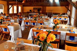 events-ontario-hillier-creek-winery